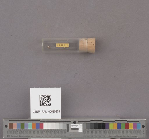 NSF ADBC EPICC TCN