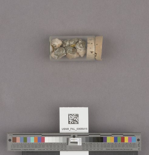 NSF ADBC EPICC TCN