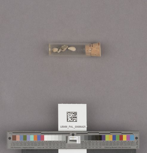 NSF ADBC EPICC TCN