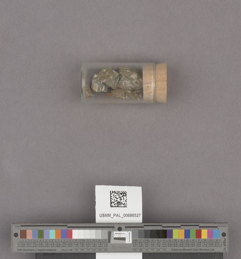 NSF ADBC EPICC TCN