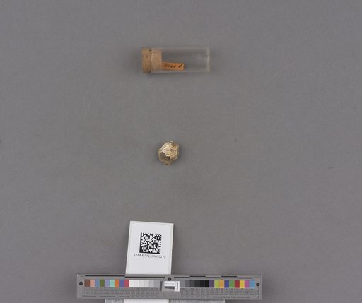 NSF ADBC EPICC TCN