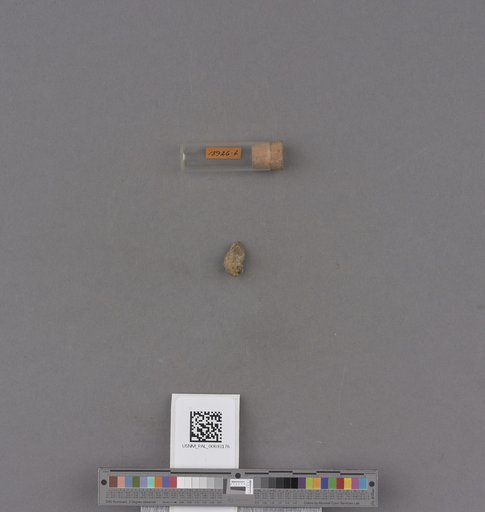NSF ADBC EPICC TCN
