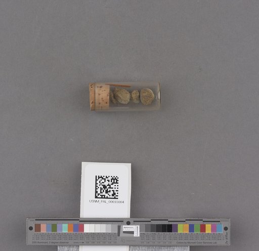 NSF ADBC EPICC TCN