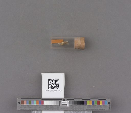 NSF ADBC EPICC TCN