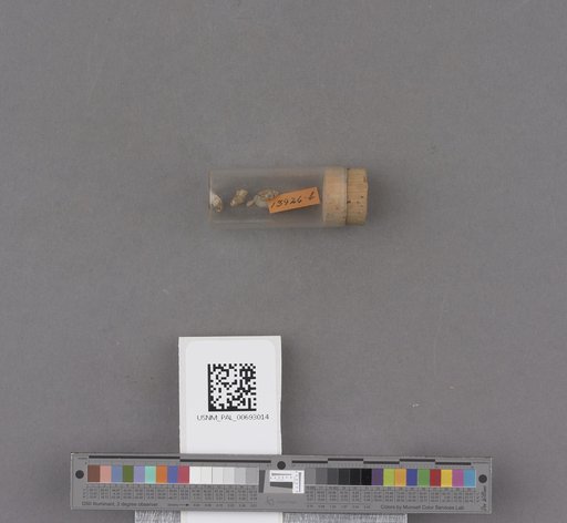 NSF ADBC EPICC TCN