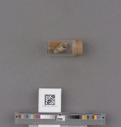 NSF ADBC EPICC TCN