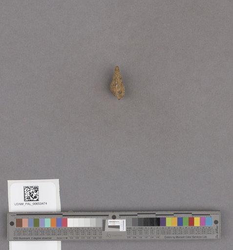 NSF ADBC EPICC TCN