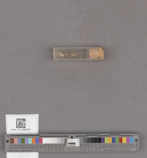 NSF ADBC EPICC TCN