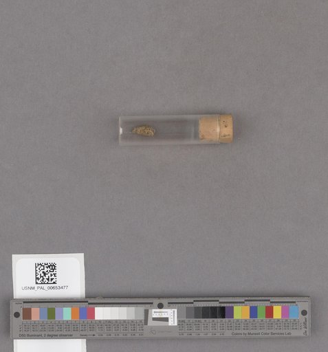 NSF ADBC EPICC TCN