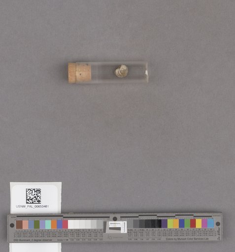 NSF ADBC EPICC TCN