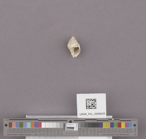 NSF ADBC EPICC TCN