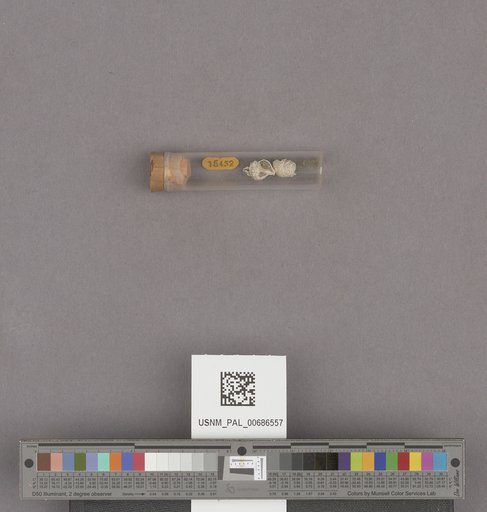 NSF ADBC EPICC TCN