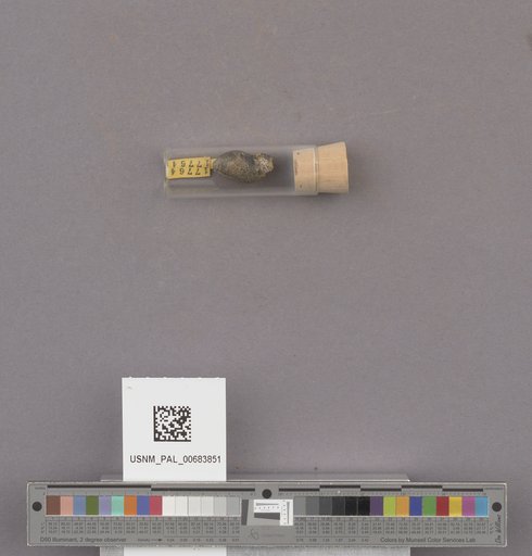 NSF ADBC EPICC TCN