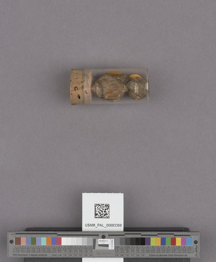 NSF ADBC EPICC TCN