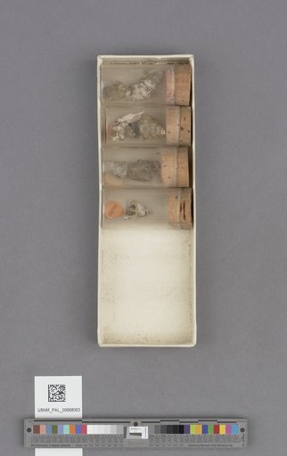 NSF ADBC EPICC TCN