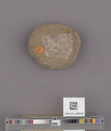 NSF ADBC EPICC TCN
