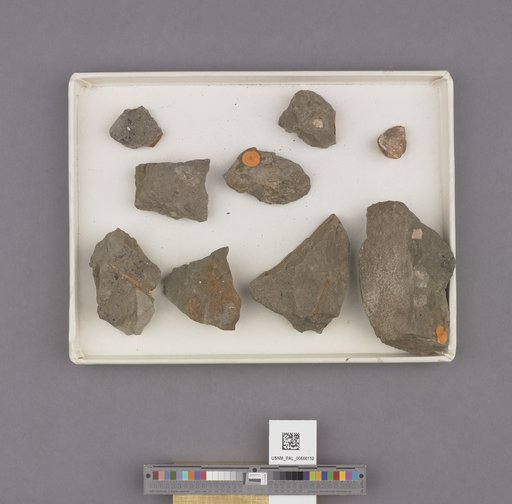 NSF ADBC EPICC TCN