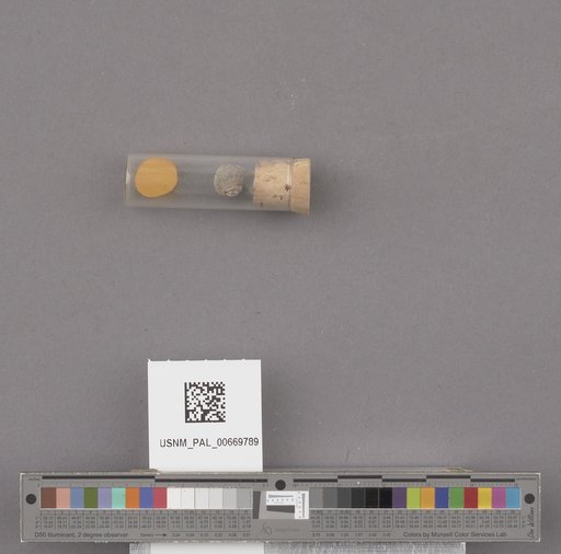 NSF ADBC EPICC TCN