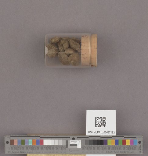 NSF ADBC EPICC TCN