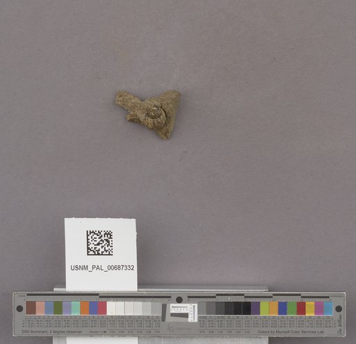 NSF ADBC EPICC TCN