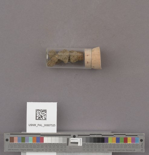 NSF ADBC EPICC TCN