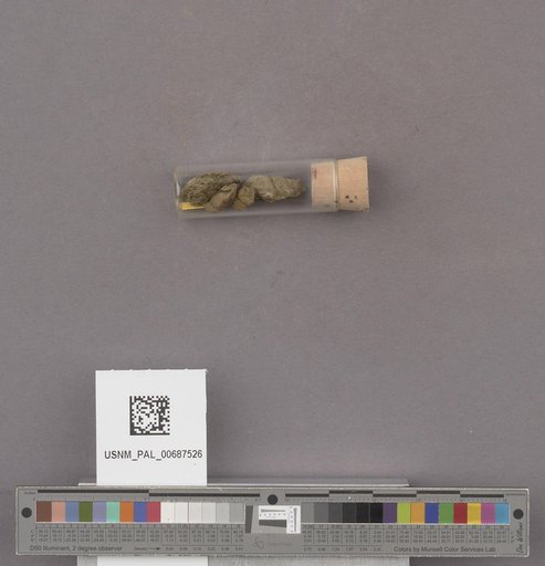 NSF ADBC EPICC TCN