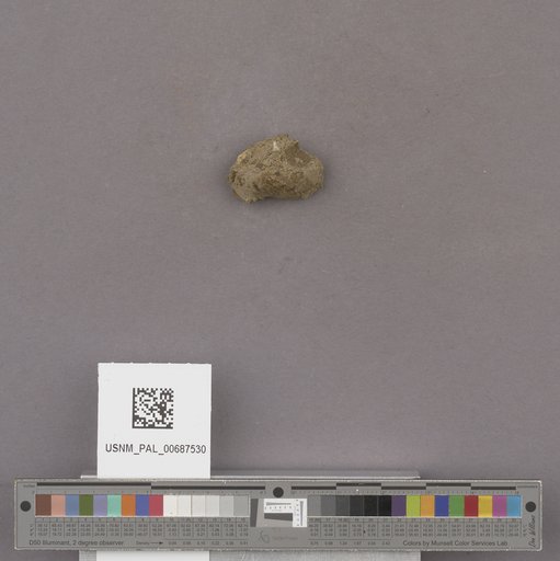 NSF ADBC EPICC TCN