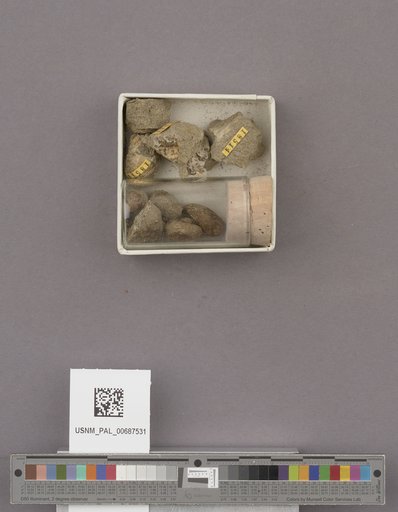 NSF ADBC EPICC TCN