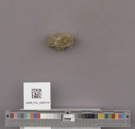 NSF ADBC EPICC TCN