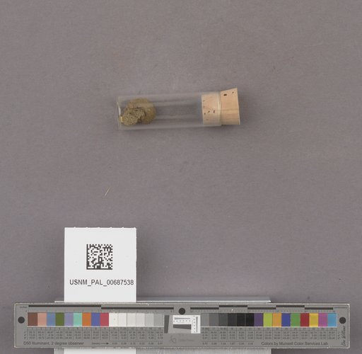 NSF ADBC EPICC TCN