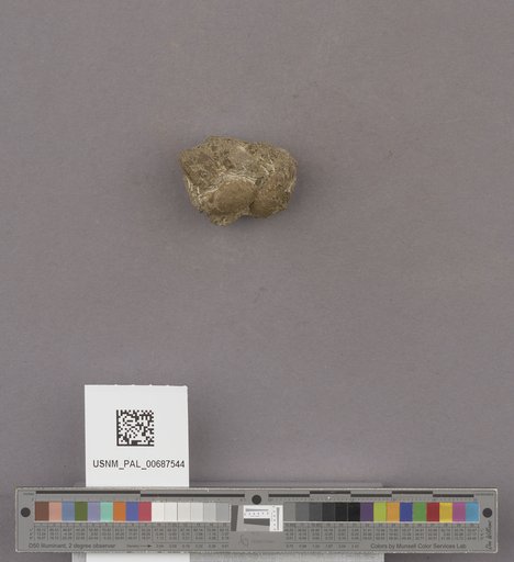 NSF ADBC EPICC TCN