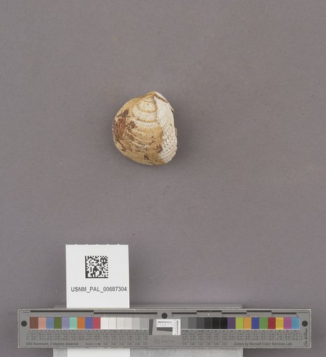 NSF ADBC EPICC TCN