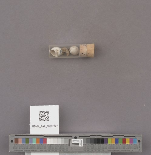 NSF ADBC EPICC TCN