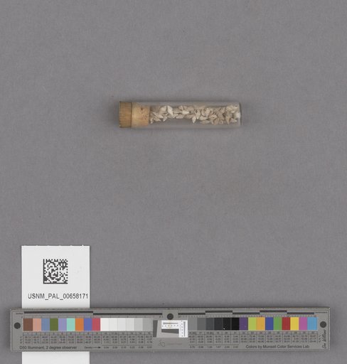 NSF ADBC EPICC TCN
