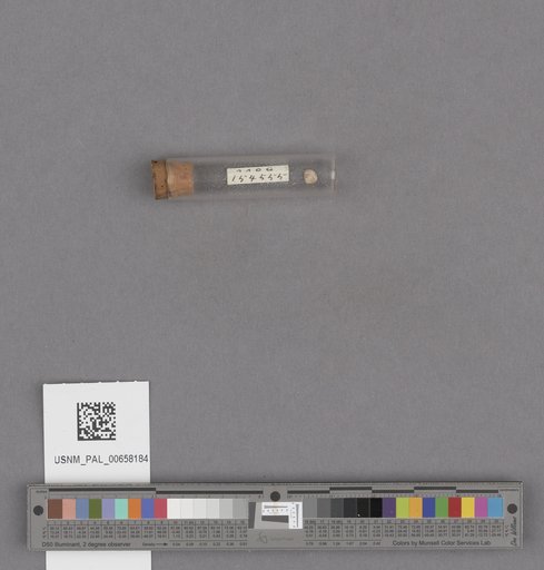 NSF ADBC EPICC TCN