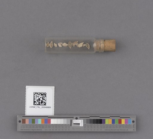 NSF ADBC EPICC TCN