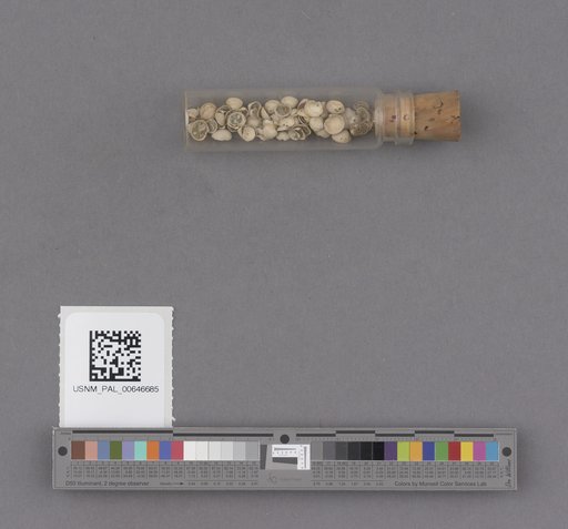 NSF ADBC EPICC TCN
