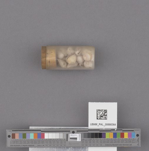 NSF ADBC EPICC TCN