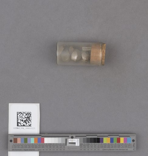 NSF ADBC EPICC TCN