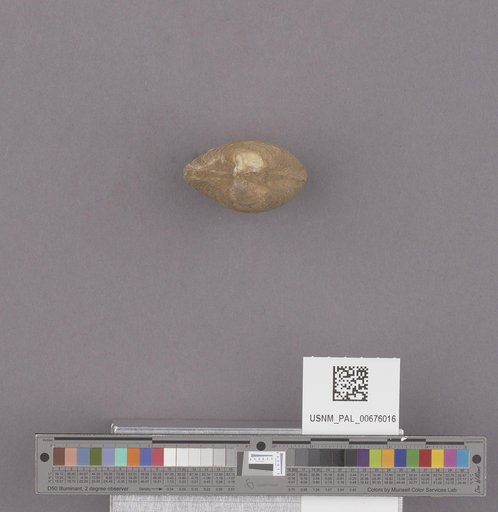 NSF ADBC EPICC TCN