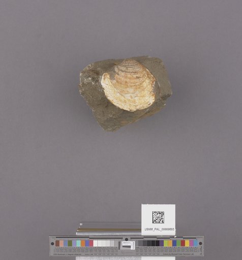 NSF ADBC EPICC TCN