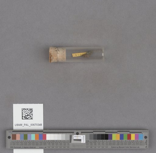 NSF ADBC EPICC TCN