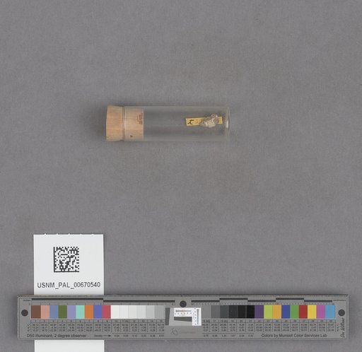 NSF ADBC EPICC TCN
