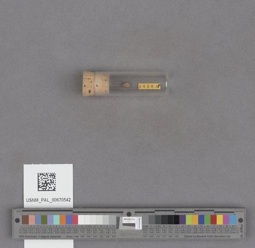 NSF ADBC EPICC TCN