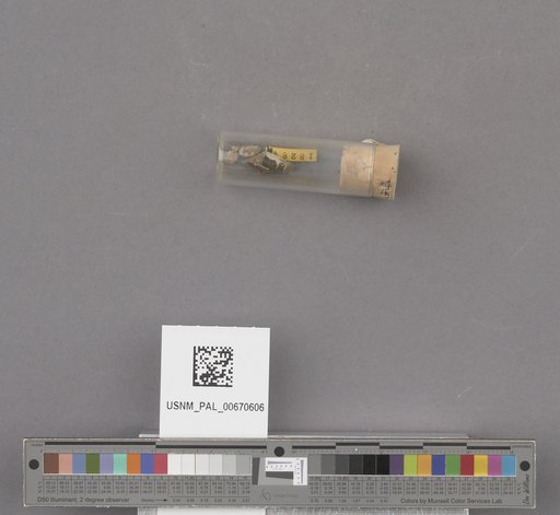 NSF ADBC EPICC TCN