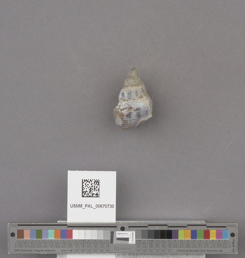 NSF ADBC EPICC TCN
