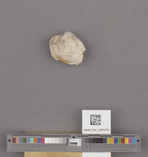 NSF ADBC EPICC TCN