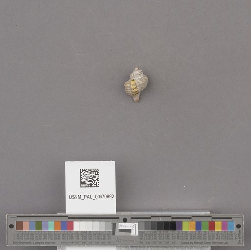 NSF ADBC EPICC TCN
