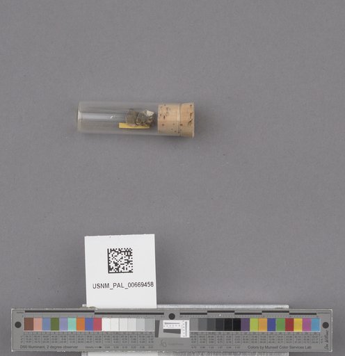 NSF ADBC EPICC TCN