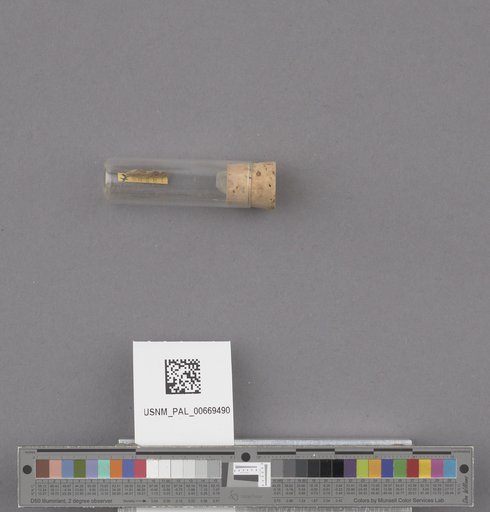 NSF ADBC EPICC TCN